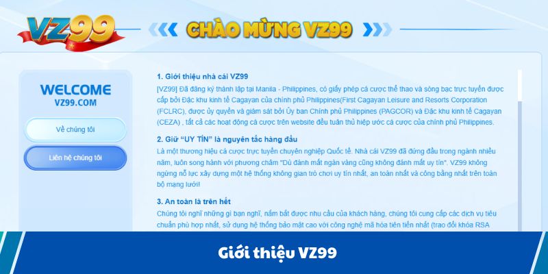 Giới thiệu VZ99