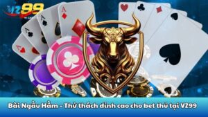 Điểm qua một vài nét về bộ môn bài ngầu hầm